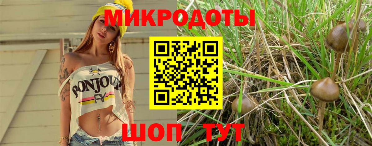 Солнечногорск  Псилоцибиновые грибы MAGIC MUSHROOMS  закладка  Вход с VPN 